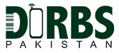 DIRBS Logo